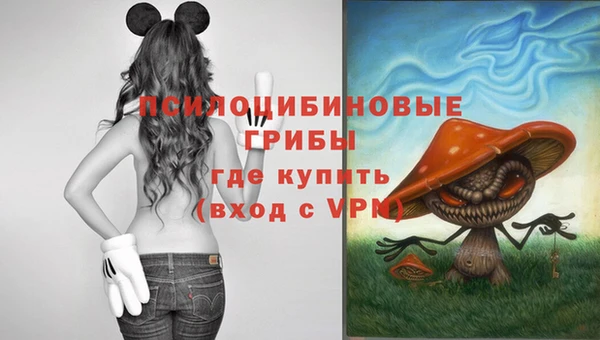 мескалин Балахна