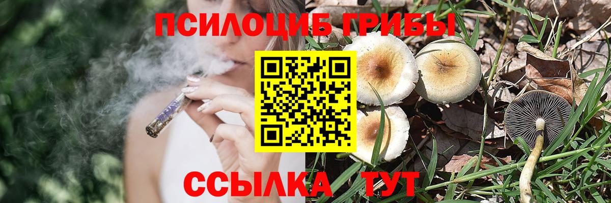 Галлюциногенные грибы мухоморы Армавир